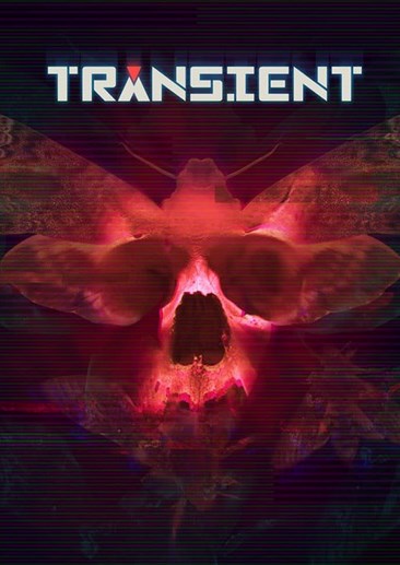 Transient Transient