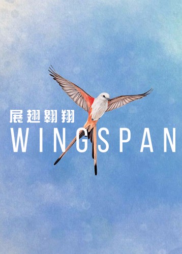 展翅翱翔 WINGSPAN