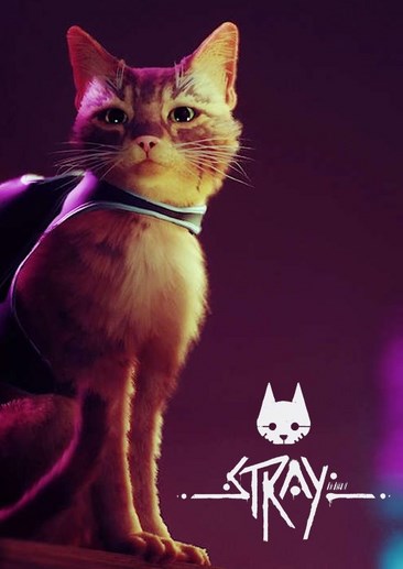 流浪 Stray