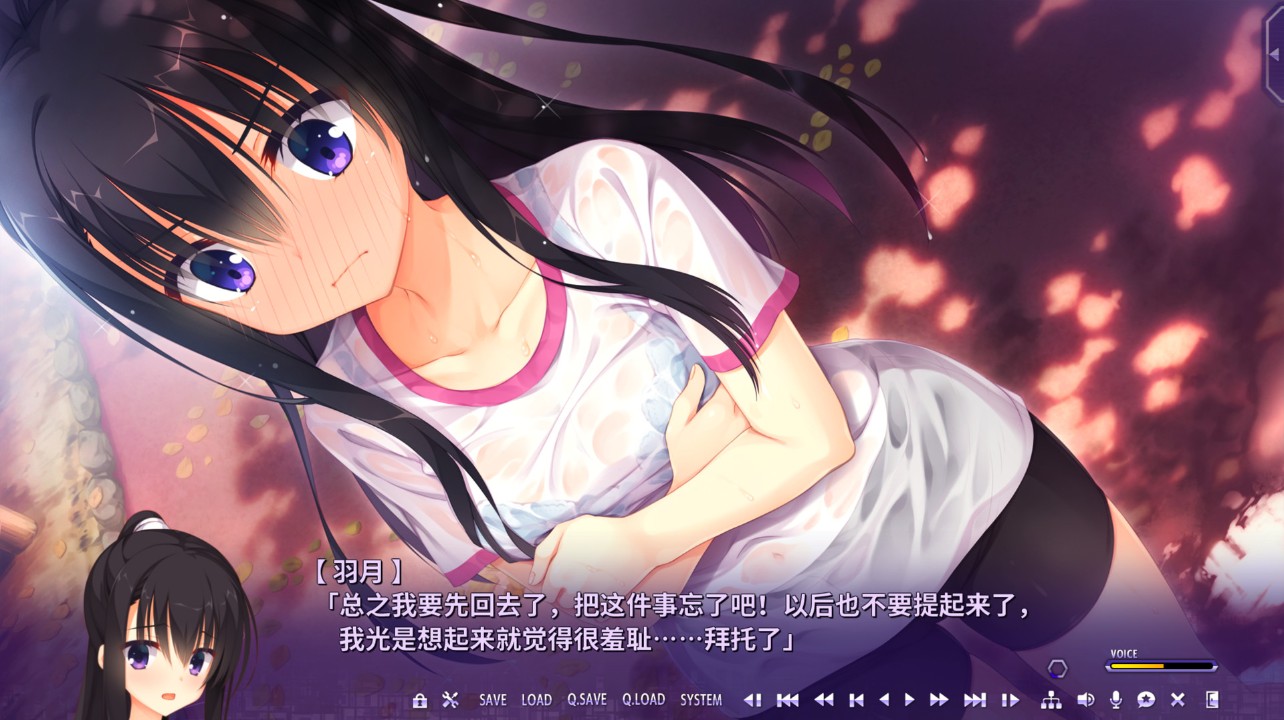 Riddle Joker 下载预览图