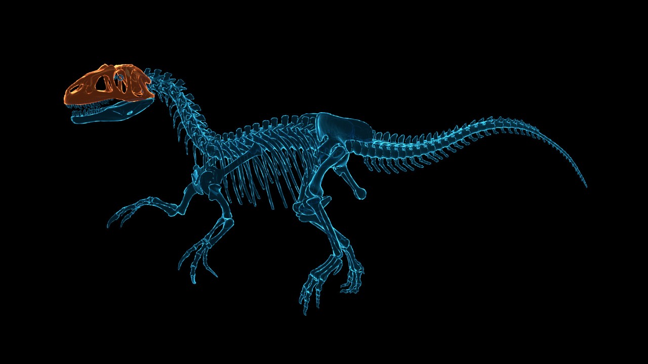恐龙化石猎人 古生物学家模拟器 下载预览图