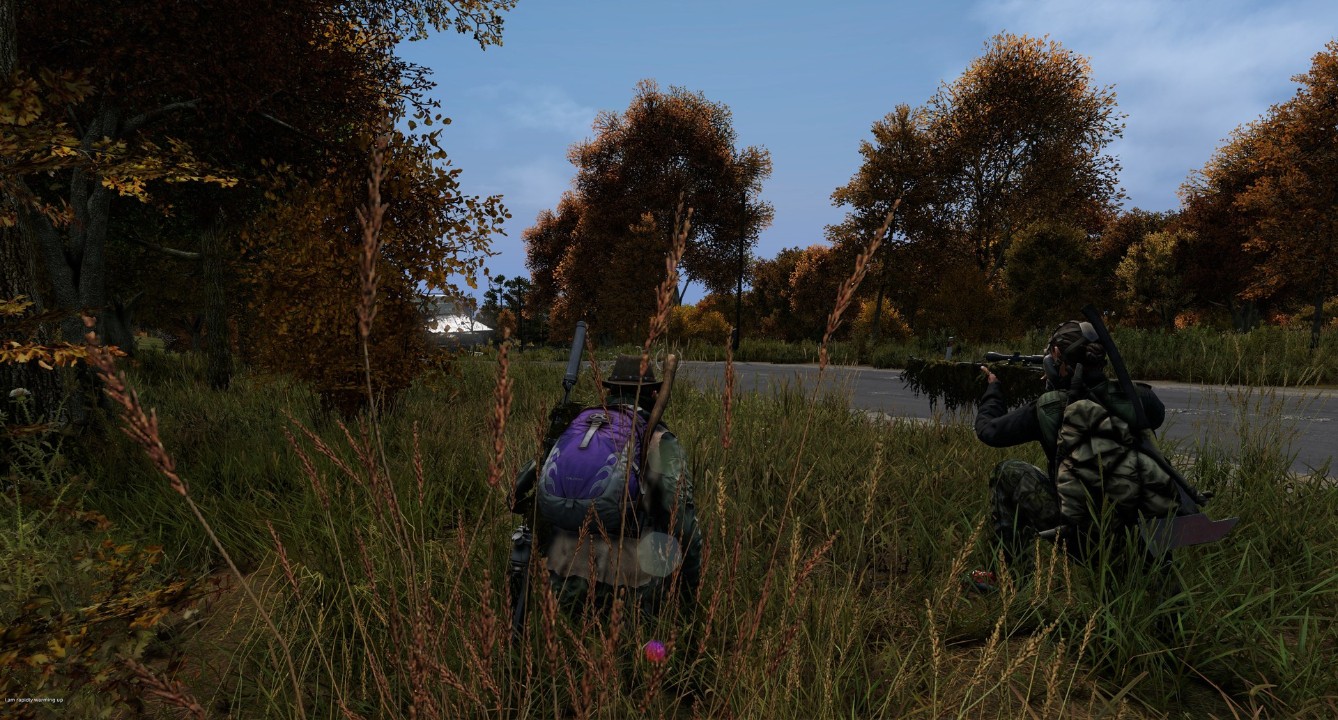 DayZ 下载预览图