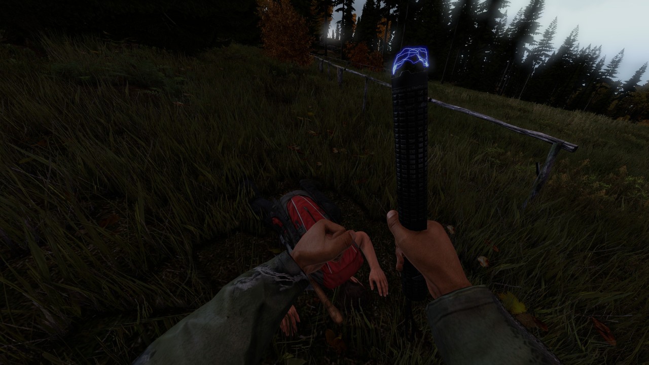 DayZ 下载预览图