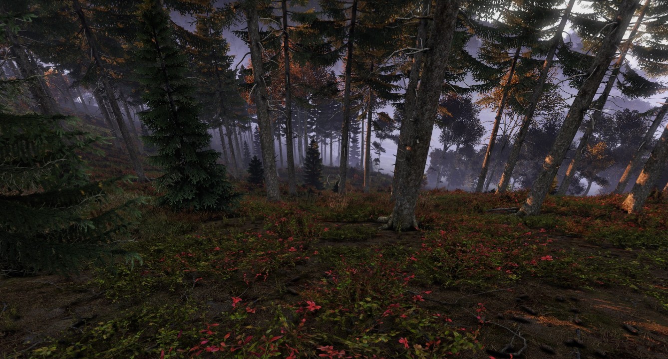 DayZ 下载预览图