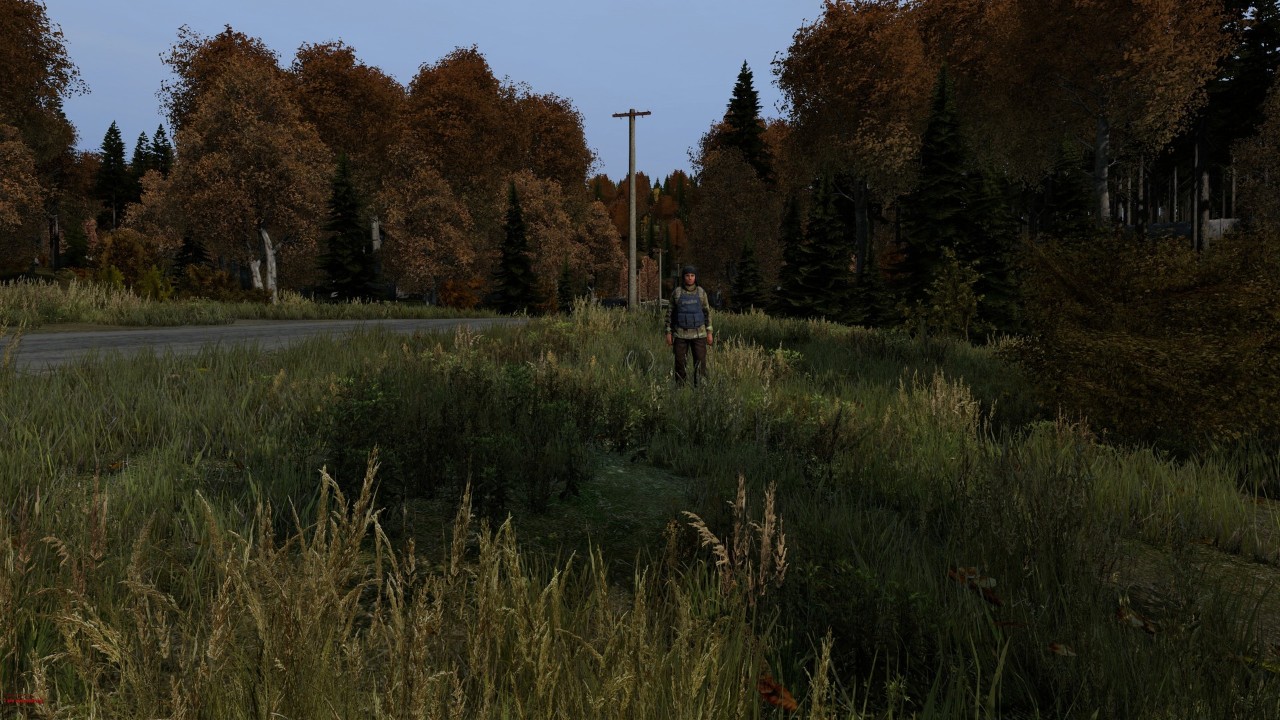DayZ 下载预览图