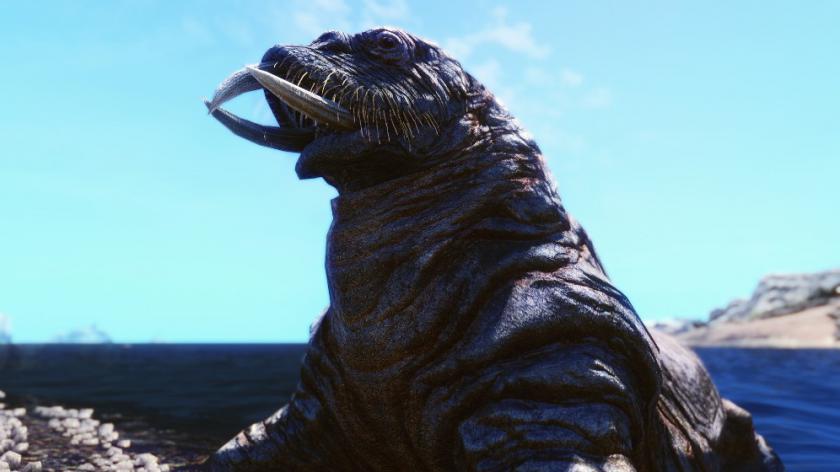 上古卷轴5：天际