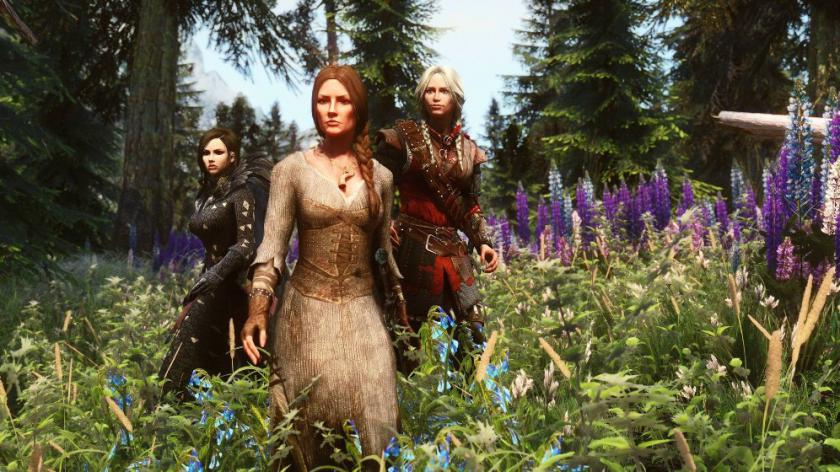 上古卷轴5：天际