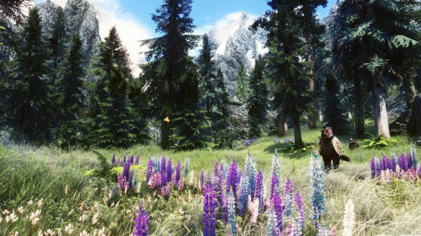 上古卷轴5：天际