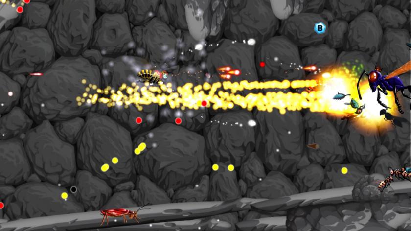 蜜蜂：重装上阵