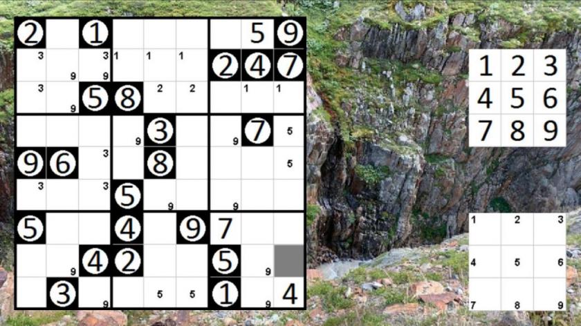 Logic Puzzle Collection: Sudoku - Permudoku