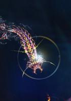 光影穿梭2：进化