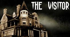 游客（The Visitor）