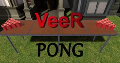 韦尔乒乓(VeeR Pong
