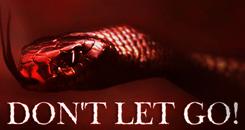 不松手！(Don't Let Go!)