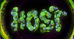 HOST