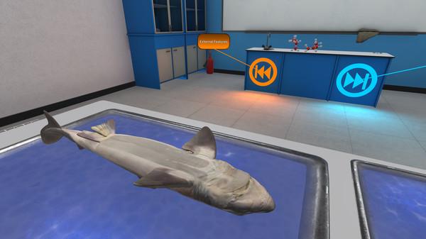 解剖模拟器：角鲨头版（Dissection Simulator： Dogfish Edition）
