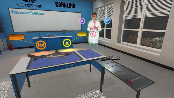 解剖模拟器：角鲨头版（Dissection Simulator： Dogfish Edition）