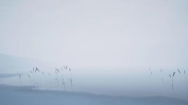 风暴VR (Storm VR)
