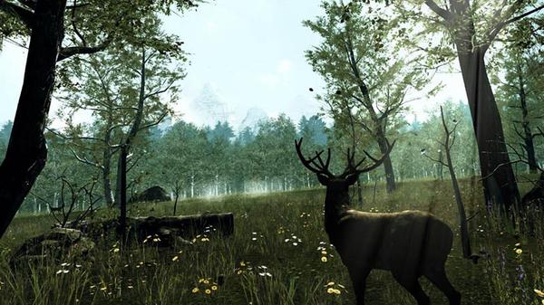 自然之旅VR（Nature Treks VR）- Oculus Quest游戏