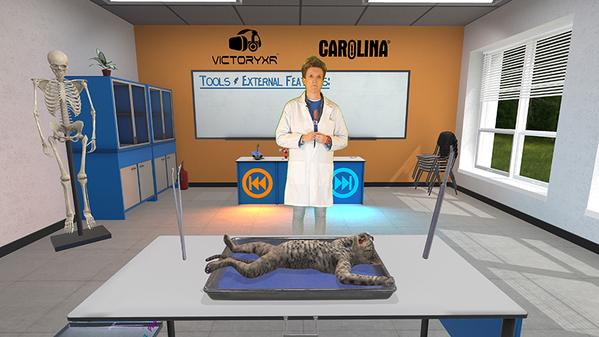 解剖猫咪-解剖猫科动物（Cat Dissection）- Oculus Quest游戏