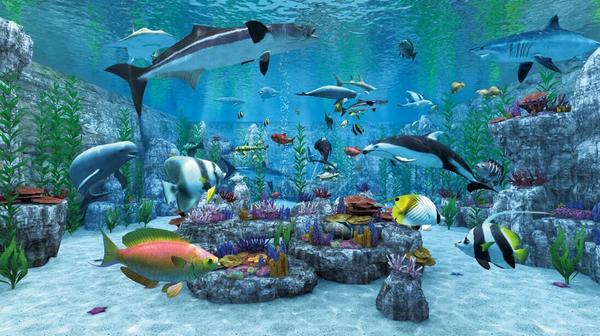 真实钓鱼（Real VR Fishing）- Oculus Quest游戏