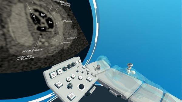 心脏病医学VR（Fetal Heart VR）- Oculus Quest游戏