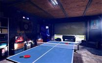 《乒乓球PRO VR》pkg下载【5.05】 — PS4 VR