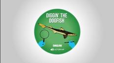 解剖模拟器：鲨鱼版（Dissection Simulator: Shark Edition VR）- Meta Quest游戏