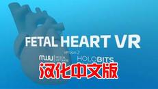 心脏病医学VR 汉化中文版（Fetal Heart VR）- Meta Quest游戏