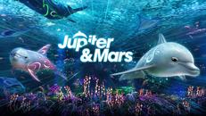 两只海豚（Jupiter & Mars VR）- Meta Quest游戏