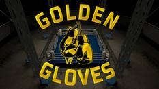 金手套拳击（Golden Gloves VR）- Meta Quest游戏