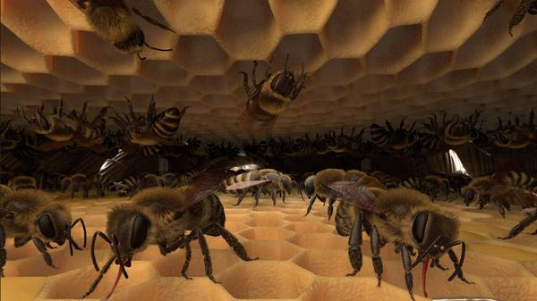 蜜蜂VR（Honeybee VR）- Meta Quest游戏