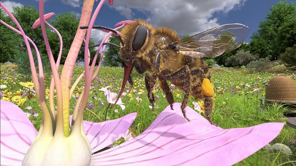 蜜蜂VR（Honeybee VR）- Meta Quest游戏