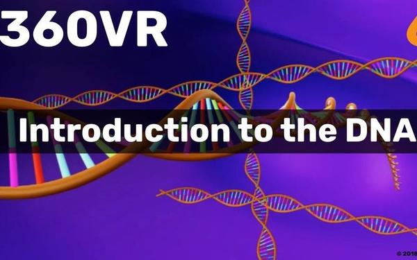 【360° VR】DNA导论