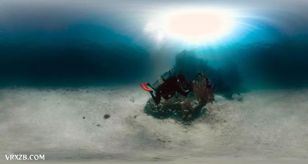 【360° VR】探寻加勒比海底的秘密