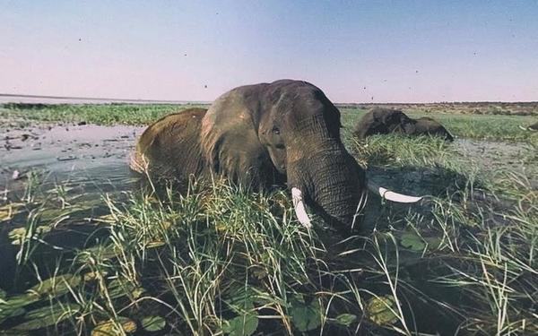 【360° VR】探索世界