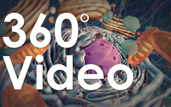 【360° VR】细胞导览