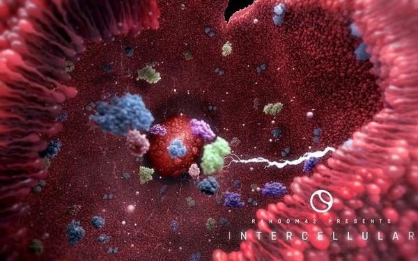 【360° VR】人体细胞绝美震撼之旅