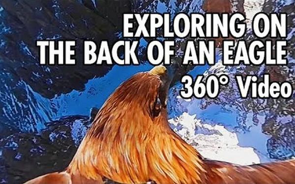 【360° VR】从一只鹰的角度探索白云石山脉