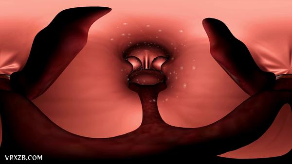 【360° VR】你的身体内部发生了什么