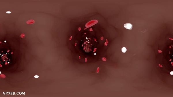 【360° VR】你的身体内部发生了什么