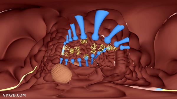 【360° VR】你的身体内部发生了什么