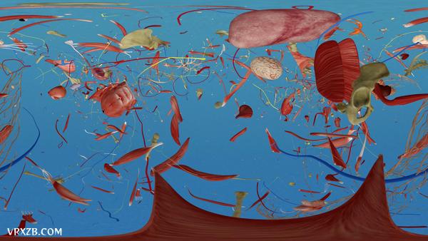 【360° VR】你的身体内部发生了什么