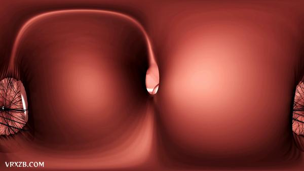 【360° VR】你的身体内部发生了什么