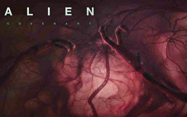 【360° VR】假如你是一只异形